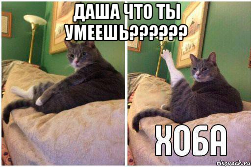 даша что ты умеешь?????? , Комикс Кот Хоба