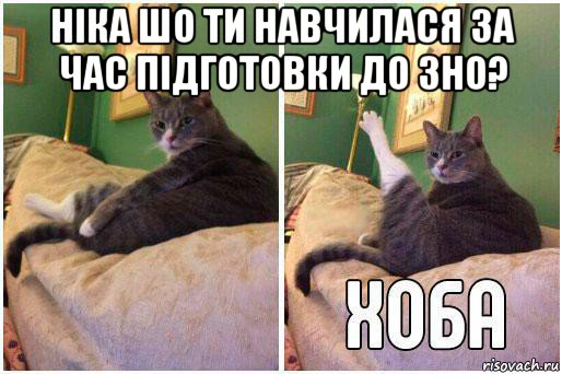 ніка шо ти навчилася за час підготовки до зно? , Комикс Кот Хоба