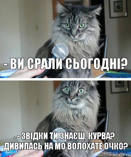 - Ви срали сьогодні? - звідки ти знаєш, курва? Дивилась на мо волохате очко?, Комикс  кот с микрофоном