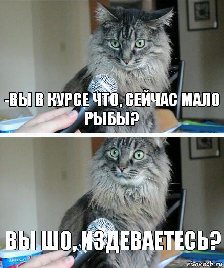 -ВЫ В КУРСЕ ЧТО, СЕЙЧАС МАЛО РЫБЫ? ВЫ ШО, ИЗДЕВАЕТЕСЬ?, Комикс  кот с микрофоном