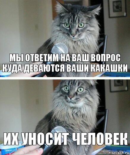 мы ответим на ваш вопрос куда деваются ваши какашки их уносит человек, Комикс  кот с микрофоном