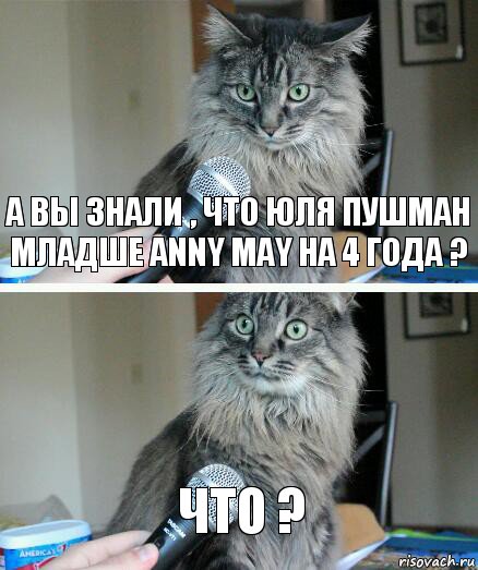 А вы знали , что Юля Пушман младше Anny may на 4 года ? Что ?, Комикс  кот с микрофоном