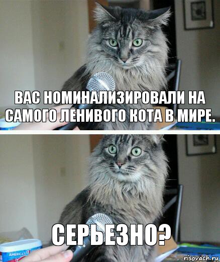 Вас номинализировали на самого ленивого кота в мире. Серьезно?, Комикс  кот с микрофоном