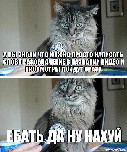 а вы знали что можно просто написать слово разоблачение в названии видео и просмотры пойдут сразу ебать да ну нахуй, Комикс  кот с микрофоном