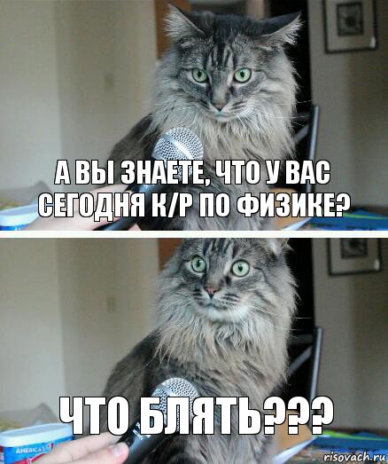 А вы знаете, что у вас сегодня к/р по физике? Что блять???, Комикс  кот с микрофоном