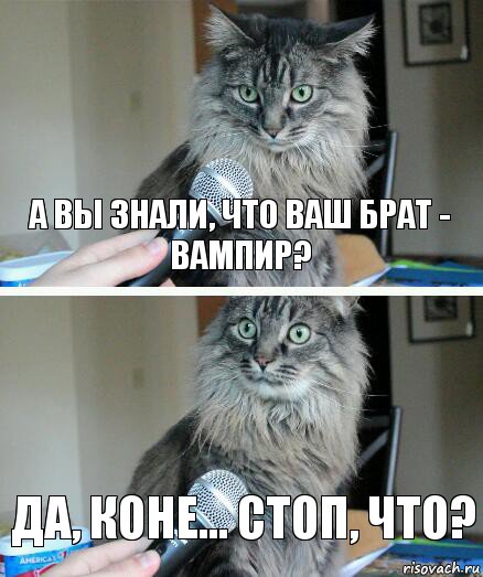 А вы знали, что ваш брат - вампир? Да, коне... стоп, что?, Комикс  кот с микрофоном