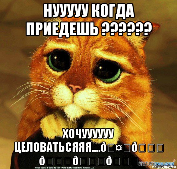 Мем Котик из Шрека