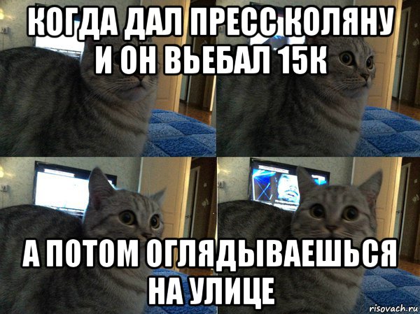 когда дал пресс коляну и он вьебал 15к а потом оглядываешься на улице, Мем  Кот в шоке