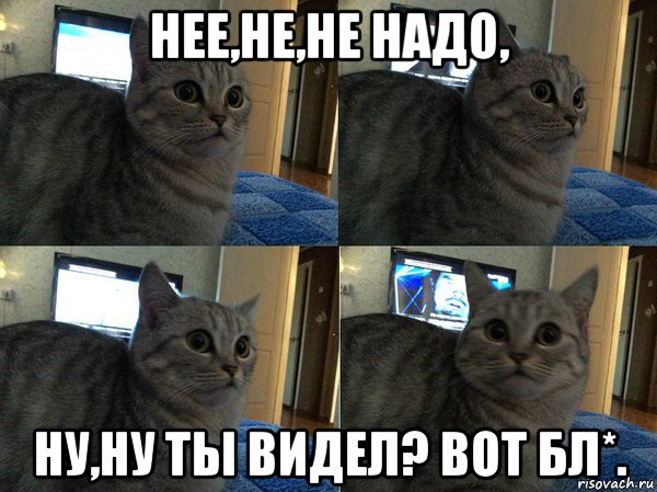 нее,не,не надо, ну,ну ты видел? вот бл*., Мем  Кот в шоке