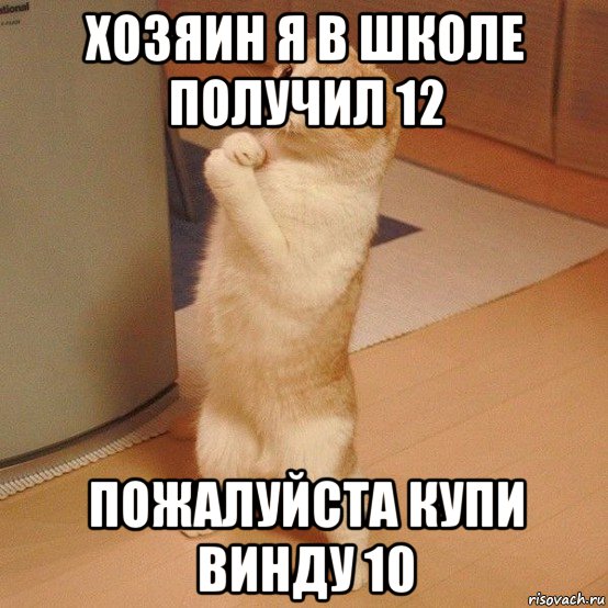 хозяин я в школе получил 12 пожалуйста купи винду 10, Мем  котэ молится