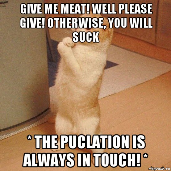 give me meat! well please give! otherwise, you will suck * the puclation is always in touch! *, Мем  котэ молится