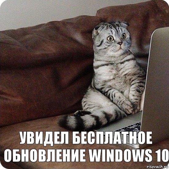 увидел бесплатное обновление windows 10, Комикс котэфинал