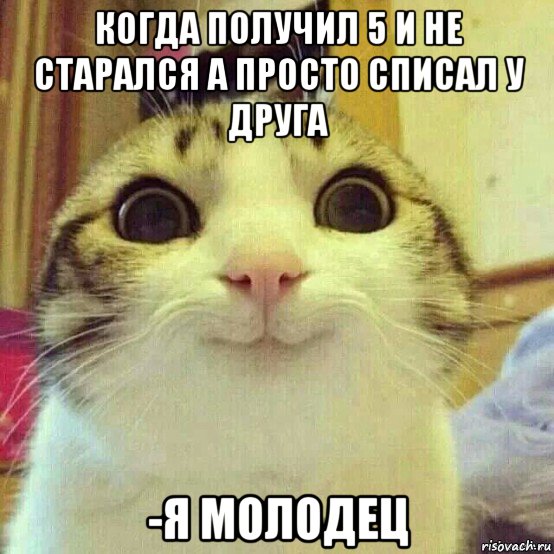 когда получил 5 и не старался а просто списал у друга -я молодец, Мем       Котяка-улыбака