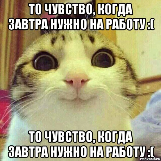 то чувство, когда завтра нужно на работу :( то чувство, когда завтра нужно на работу :(, Мем       Котяка-улыбака