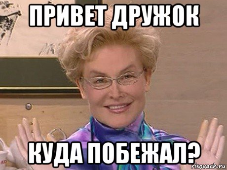 привет дружок куда побежал?