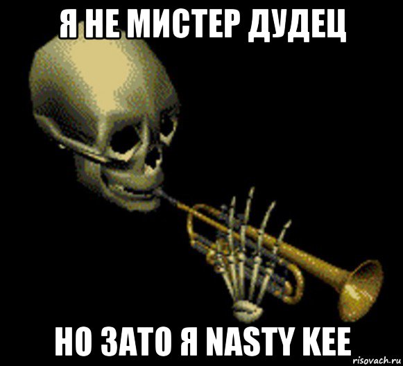 я не мистер дудец но зато я nasty kee, Мем Мистер дудец