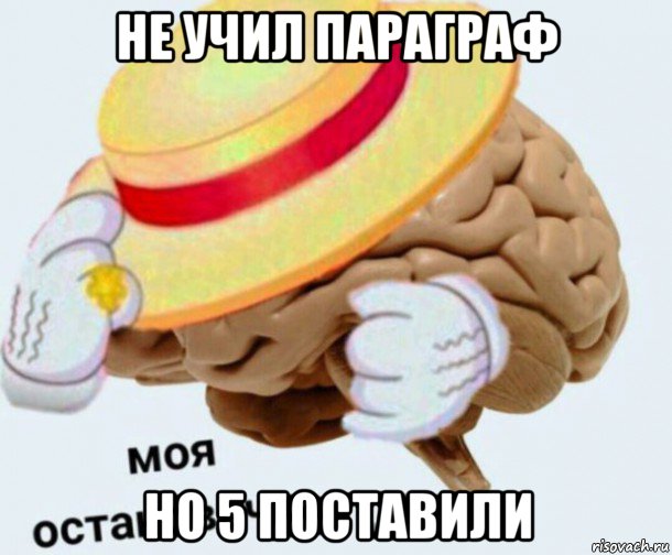 не учил параграф но 5 поставили, Мем   Моя остановочка мозг