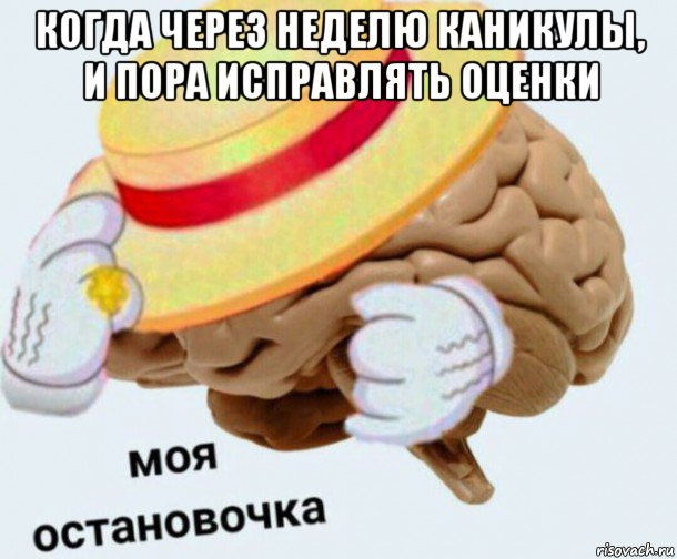 когда через неделю каникулы, и пора исправлять оценки , Мем   Моя остановочка мозг