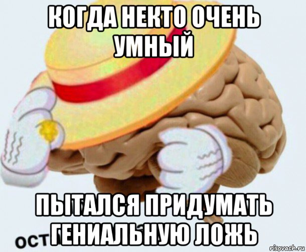 когда некто очень умный пытался придумать гениальную ложь, Мем   Моя остановочка мозг