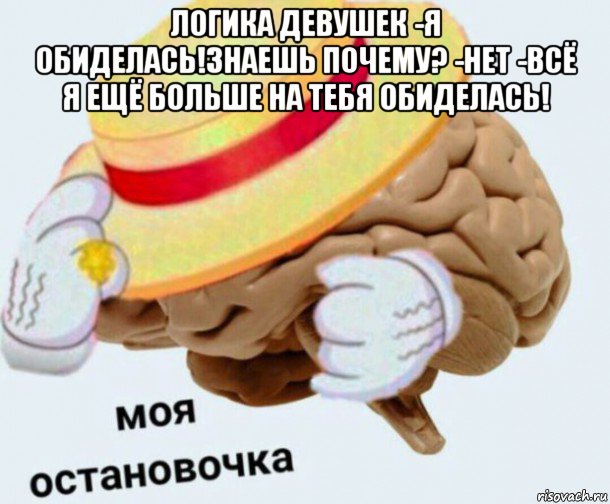 логика девушек -я обиделась!знаешь почему? -нет -всё я ещё больше на тебя обиделась! , Мем   Моя остановочка мозг