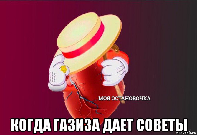  когда газиза дает советы, Мем   Моя остановочка