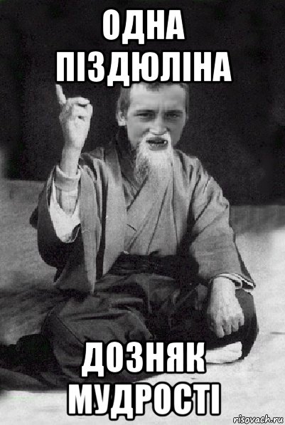 одна піздюліна дозняк мудрості, Мем Мудрий паца