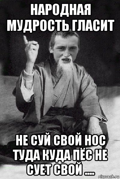 народная мудрость гласит не суй свой нос туда куда пёс не сует свой ...., Мем Мудрий паца