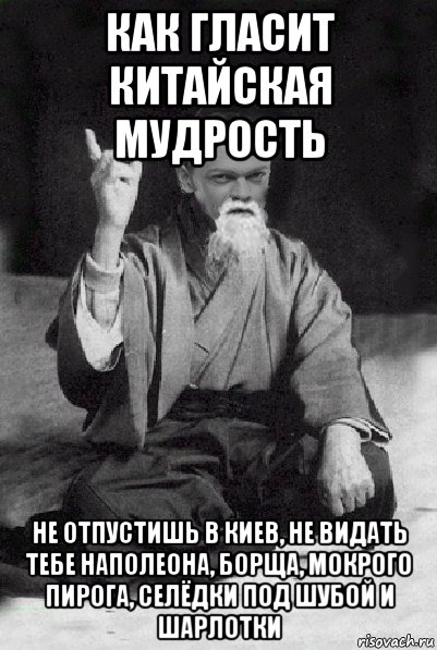 как гласит китайская мудрость не отпустишь в киев, не видать тебе наполеона, борща, мокрого пирога, селёдки под шубой и шарлотки, Мем Мудрий Виталька