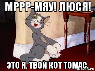 мррр-мяу! люся! это я, твой кот томас., Мем Наглый том