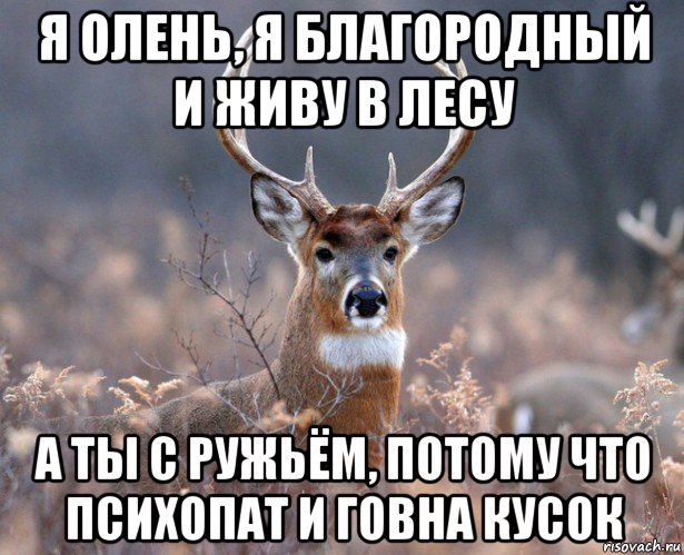 я олень, я благородный и живу в лесу а ты с ружьём, потому что психопат и говна кусок, Мем   Наивный олень