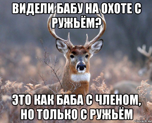 видели бабу на охоте с ружьём? это как баба с членом, но только с ружьём, Мем   Наивный олень