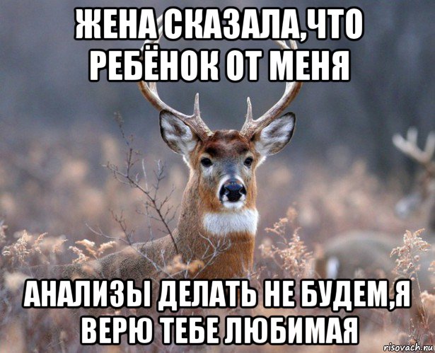 жена сказала,что ребёнок от меня анализы делать не будем,я верю тебе любимая, Мем   Наивный олень