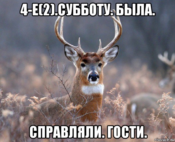 4-е(2).субботу. была. справляли. гости., Мем   Наивный олень