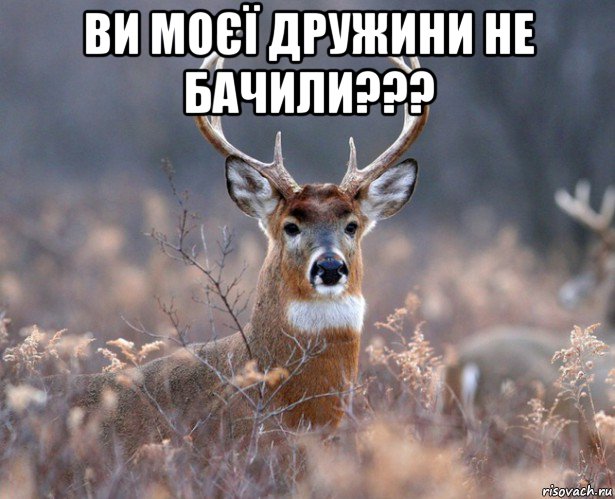 ви моєї дружини не бачили??? , Мем   Наивный олень