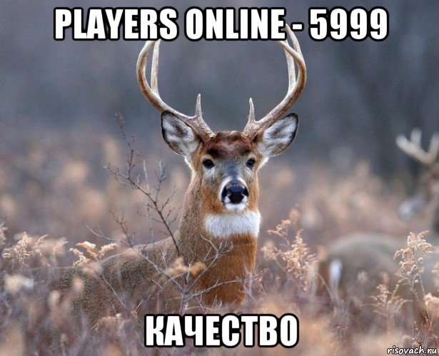 players online - 5999 качество, Мем   Наивный олень