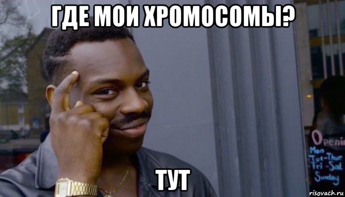 где мои хромосомы? тут, Мем Не делай не будет