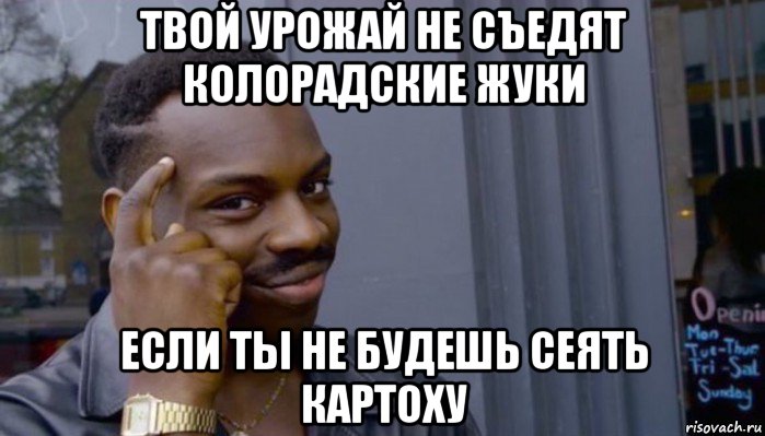 твой урожай не съедят колорадские жуки если ты не будешь сеять картоху, Мем Не делай не будет