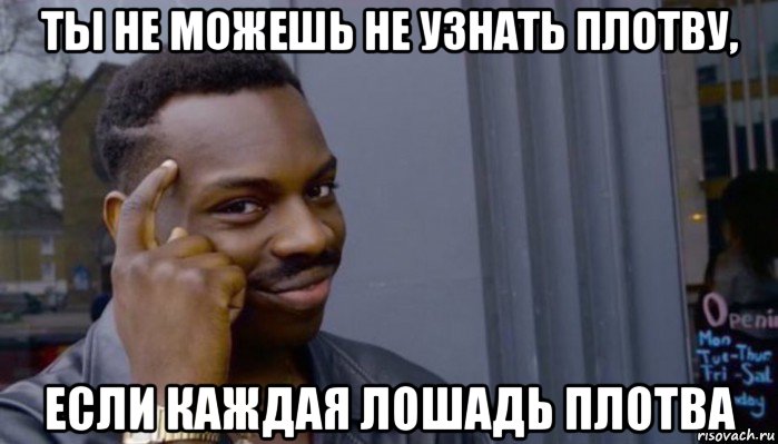 ты не можешь не узнать плотву, если каждая лошадь плотва, Мем Не делай не будет