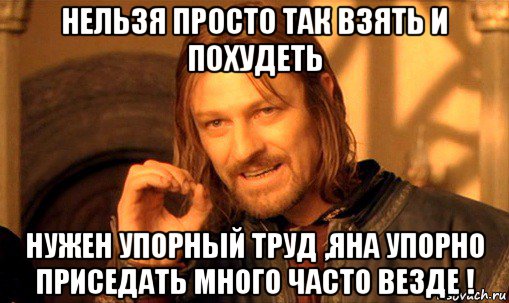 нельзя просто так взять и похудеть нужен упорный труд ,яна упорно приседать много часто везде !, Мем Нельзя просто так взять и (Боромир мем)