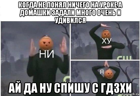 когда не понял ничего на уроке а домашки задали много очень и удивился ай да ну спишу с гдзхи, Мем  Ни ху Я