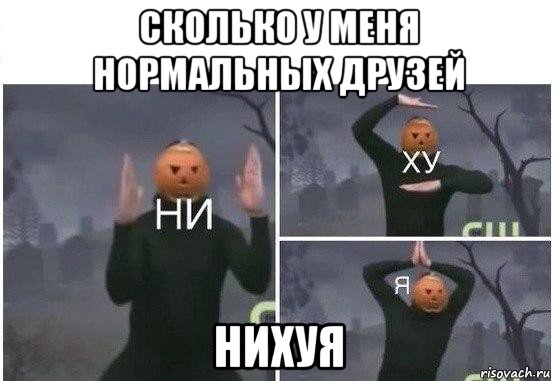 сколько у меня нормальных друзей нихуя, Мем  Ни ху Я