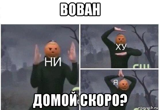 вован домой скоро?, Мем  Ни ху Я