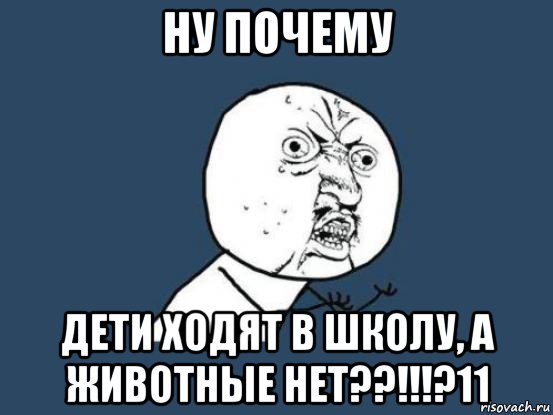 ну почему дети ходят в школу, а животные нет??!!!?11, Мем Ну почему