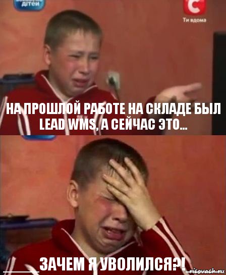 На прошлой работе на складе был LEAD WMS, а сейчас это... ____зачем я уволился?!____, Комикс   Сашко Фокин