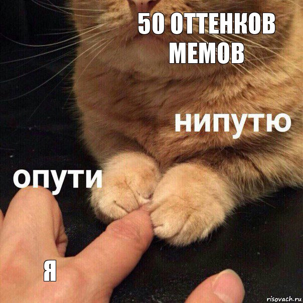 50 оттенков мемов Я, Комикс Опути нипутю