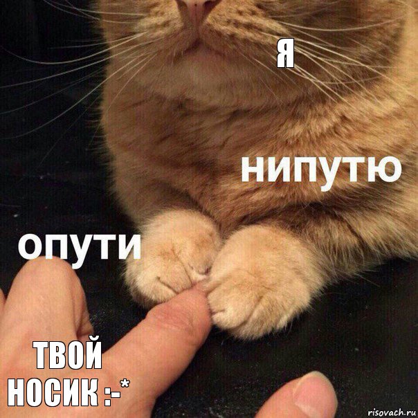 Я Твой носик :-*, Комикс Опути нипутю