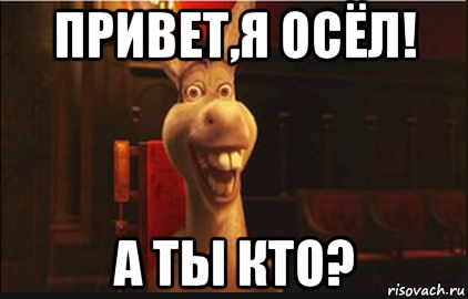 привет,я осёл! а ты кто?, Мем Осел из Шрека