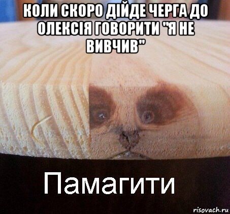 коли скоро дійде черга до олексія говорити "я не вивчив" , Мем   Памагити