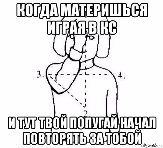 когда материшься играя в кс и тут твой попугай начал повторять за тобой, Мем  Перекреститься