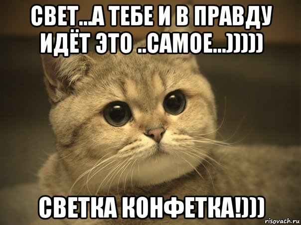 свет...а тебе и в правду идёт это ..самое...))))) светка конфетка!))), Мем Пидрила ебаная котик